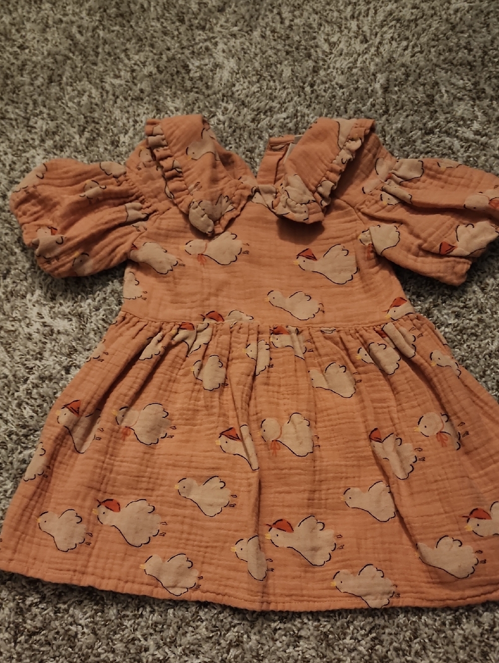 H&M Adorables Toddler Girl 2T Dress, Pre-owned But VGUC
